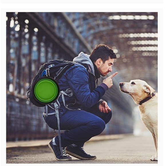 NEW Foldable Silicone Portable Travel Bowl Dogs - Picture 1 of 8